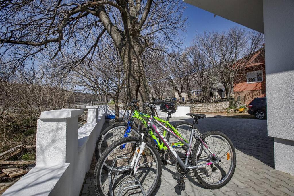 Luxury House Cesarica Βίλα Δωμάτιο φωτογραφία